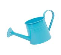 Indoor Watering Can 1L Flower Vase Pot