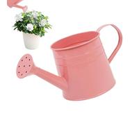 Indoor Watering Can 1L, Flower Vase, Small Planter Pot