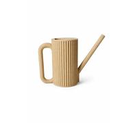 Indoor Watering Can 1L for Plants - Long Spout Precision Watering Jug for Houseplants, Succulents & Small Pots - Minimalist Ribbed Design - Strong Thick Plastic Durable Plant Can