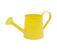 Indoor Watering Can 1L Small Planter Pot Flower Vase