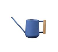 Indoor Watering Can - Cotswold Blue FSC 100%