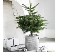 Ivyline Indoor Christmas Tree Bucket in Zinc - Small