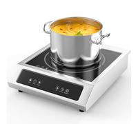 Induction Cooktop 3500W, Commercial 110lb Load Capacity, 9 Power Levels, Professional Ceramic Portable Stainless Steel Hot Plate with Slide & Touch Control, Safety Lock, 4 Hour Timer