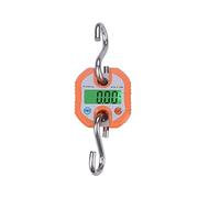 Industrial/Agricultural/laboratory Detachable Portable Micro Crane Scale 0.3-150KG Lightweight Hook Electronic Scale Craftsmen or Workers