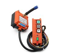 Industrial Channel Hoist Crane, Wireless Industrial Remote Controller F21-2S 3 Button, 100 meters Range, AC/DC Power(12V)