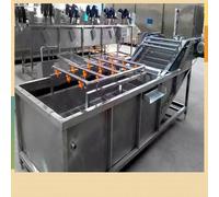 Industrial Fruit and Vegetable Washing Equipment, Fully Automatic Pure Water Rotary Washing System, removes contaminants and extends Shelf Life, a Must-Have for University canteens
