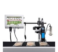 Industrial Inkjet Printer for Expiry Date and Batch Coding, Automatic Online Coder with 360° Multi-Angle Spraying for High-Speed Production Lines