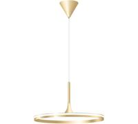 Industrial Pendant Light LED Gold Finish Pendant Light Modern Drop Aluminum Chandelier Adjustable Chain Side Illuminated Hanging Lamp,Pendant Ceiling Light