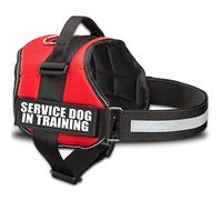 Industrial Puppy Service Dog in Training Vest Harness - Durable & Adjustable Dog Vest with Reflective Straps, Removable Patches, Handle & D-Ring, Travel and Daily Use, XX-Small 13.5"-17", Bright Red