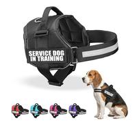 Industrial Puppy Service Dog in Training Vest with Hook, Loop Straps and Handle, Vest Harness Features 2 Reflective Patch and Comfortable Mesh Design, Dog Accessories, Medium, Black