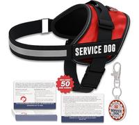 Industrial Puppy Service Dog Vest Bundle with ID Tags and Cards, Red, XL_Bundle