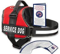 Industrial Puppy Service Dog Vest for Small Dogs - No Pull Dog Harness in 8 Sizes (XXXS to XXL), Superior No-Fray Reflective Nylon, Adjustable Hook and Loop Straps, Interior Padding, Breathable Mesh