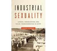 Industrial Sexuality: Gender, Urbanization, and Social Transformation in Egypt