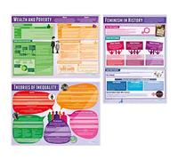 Inequality Posters - Set of 3 | Sociology Posters | Laminated Gloss Paper measuring 850mm x 594mm (A1) | Sociology Class Posters | Education Charts by Daydream Education