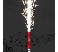 Inevitable Party Musical Singing 'Happy Birthday' Cake Decoration