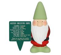Inevitable Small Weather Forecasting Gnome with Sign | Funny Novelty Plant Pot Decoration (Green)