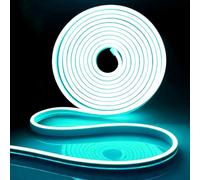 iNextStation Ice Blue LED Strip Light, 5M Cuttable Neon Rope Lights, 12V Outdoor Waterproof Silicone Lights for Gaming Room Monitor Bedroom TV Backlight Bar Wall Shop Window Ambient Lighting (No Plug)