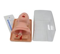 Infant Intubation Manikin, Pediatric Tracheal Intubation Training Model, Oral Nasal Airway Simulator for Nursing Education and Training