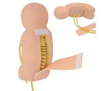 Infant Lumbar Puncture Training Simulator, Life-Size Neonatal Model for Doctor Nurse Student Practice Teaching Aid