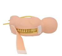Infant Lumbar Puncture Training Simulator, Life-Size Neonatal Puncture Practice Manikin With Anatomical Landmarks For Doctor Nurse Student Teaching Aid