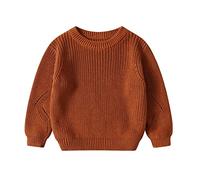 Infant Toddler Baby Girl Boy Knit Sweater Blouse Pullover Sweatshirt Warm Crewneck Long Sleeve Tops Fall Winter Clothes3 All Boys Sweatshirt Kids Christmas Sweaters 2t Boys Sweaters Light Brown