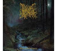 Infernal Coil - Within A World Forgotten
