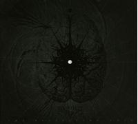 Infestus - The Reflecting Void