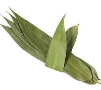 Infinitely Great Home Decor Center 100 Leaves Natural Dried Bamboo Leaves for Zongzi Sticky Rice Dumpling 粽叶