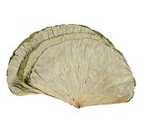Infinitely Great Home Decor Center 500g Dried Lotus Leaves 荷叶 For Asian Rice & Food Wrapping Cooking