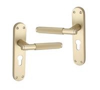 Infinity Decor Pair of Satin Brass Euro Knurled Lever on Backplate Key Lock Door Handles Set - for Interior & Exterior Door