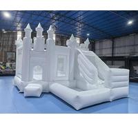 Inflatable Bounce House with Slide and Ball Pit for Party Entertainment and Rental Business