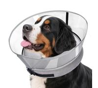 Inflatable Dog Cone Collar for After-surgery - INCIKITI 2-In-1 Cone for Dogs with Detachable Shield to Stop Licking, Dog Neck Donut Collar for M+ Dogs after Surgery