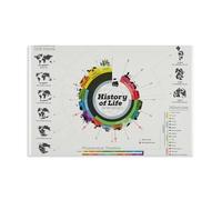 Infographic Poster of The Evolution of Life on Earth Poster Vintage Art, Wall Canvas, Decoration Aesthetic, Living Room, Kids Room Dormitory, Cafe, Bathroom, Suitable for Bedroom, Gym, Cool Classic 20