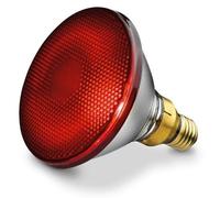 Infra Red Bulb 150 W IT 21 30