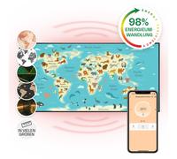 Infrared Heater Space Panel Heating Thermostat Wall Mount Timer 120x60 cm 700 W