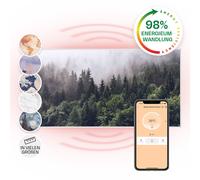 Infrared Heating Panel Wall Mounted Thermostat Indoor App Remote 120 x 60cm 700W