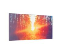 Infrared Panel Heater Wall Mount Picture Forest Indoor 120x60cm 720 W Remote