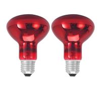 Infrared Reptile Heat Lamp Bulb, 2PCS Infrared Heat Lamp Bulb, 100W TortoiseHeat Lamp Bulb, Red Reptile Heating Bulb, E27 Basking Spot Lamp for Amphibian, Tortoise, Bearded Dragon, Lizard, Chicks