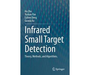 Infrared Small Target Detection - 9789819998012