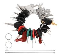 Infreecs 42PCS Ignition Starter Plant Digger Key Set, Universal Dumper Machine Replacement Ignition Switch Spare Key Set for Agricultural, Excavator, Machinery, Dump Trucks Tractors Bulldozers