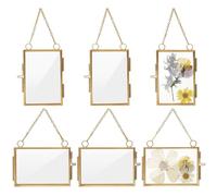 INFUNLY 6Pcs Brass Picture Frame 2x3 Wall Hanging Photo Floating Frame with Chain Double Glass Frame for Pressed Flower Horizontal Vertical Display Frame Kit for Plant Specimen Artwork Home