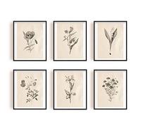 INFUNLY 6pcs Vintage Plants Wall Art Prints Set Botanical Pictures Poster 8"×10" Boho Floral Artwork Decor Unframed Canvas Poster Prints Aesthetic Wall Art for Bedroom Kitchen Living Room Home