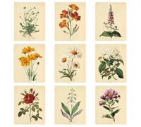INFUNLY 9pcs Vintage Floral Wall Art Prints Set Botanical Daisy Pictures Poster 8"×10" Rose Artwork Decor Unframed Canvas Poster Prints Aesthetic Wall Art for Bedroom Kitchen Living Room Home Decor