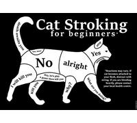 Inga Cat Stroking For Beginners Mini Poster Home Decor Art Wall Decor Metal Sign Poster 8x12 inches