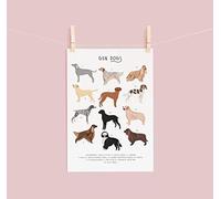 Inga Gun Dogs Poster Types Of Dogs Dog Lovers Gift Spaniel Poster Dog Breeds Poster Spaniel Gift Labrador Gift Dog Illustration Funny Gift Metal Signs 8x12 inch