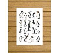 Inga Penguins Poster Watercolour Illustration Penguin Species Antarctica Animals Watercolor Penguins Nursery Decor Nordic Home Decor Funny Gift Metal Signs 8x12 inch