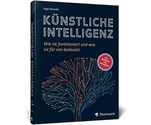 Inga Strümke Künstliche Intelligenz: Wie sie funktioniert und was sie (Hardback)