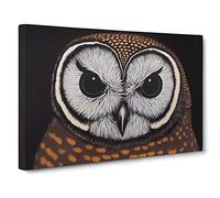 Ingenious Owl Canvas Print | Gallery Wrapped 30mm Frame Wall Art | 30x20 inches | Ready to Hang | Contemporary Animals Picture | Living Room Bedroom Lounge Office