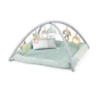 Ingenuity Calm Springs Plush Activity Gym, Chic Boutique