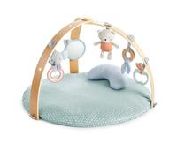 Ingenuity Cozy Spot Baby Activity Gym & Tummy Time Play Mat, Loamy Ingenuity Multicolor